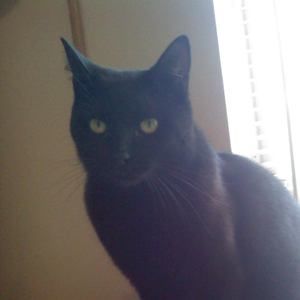 Meet your Posher, Gloria